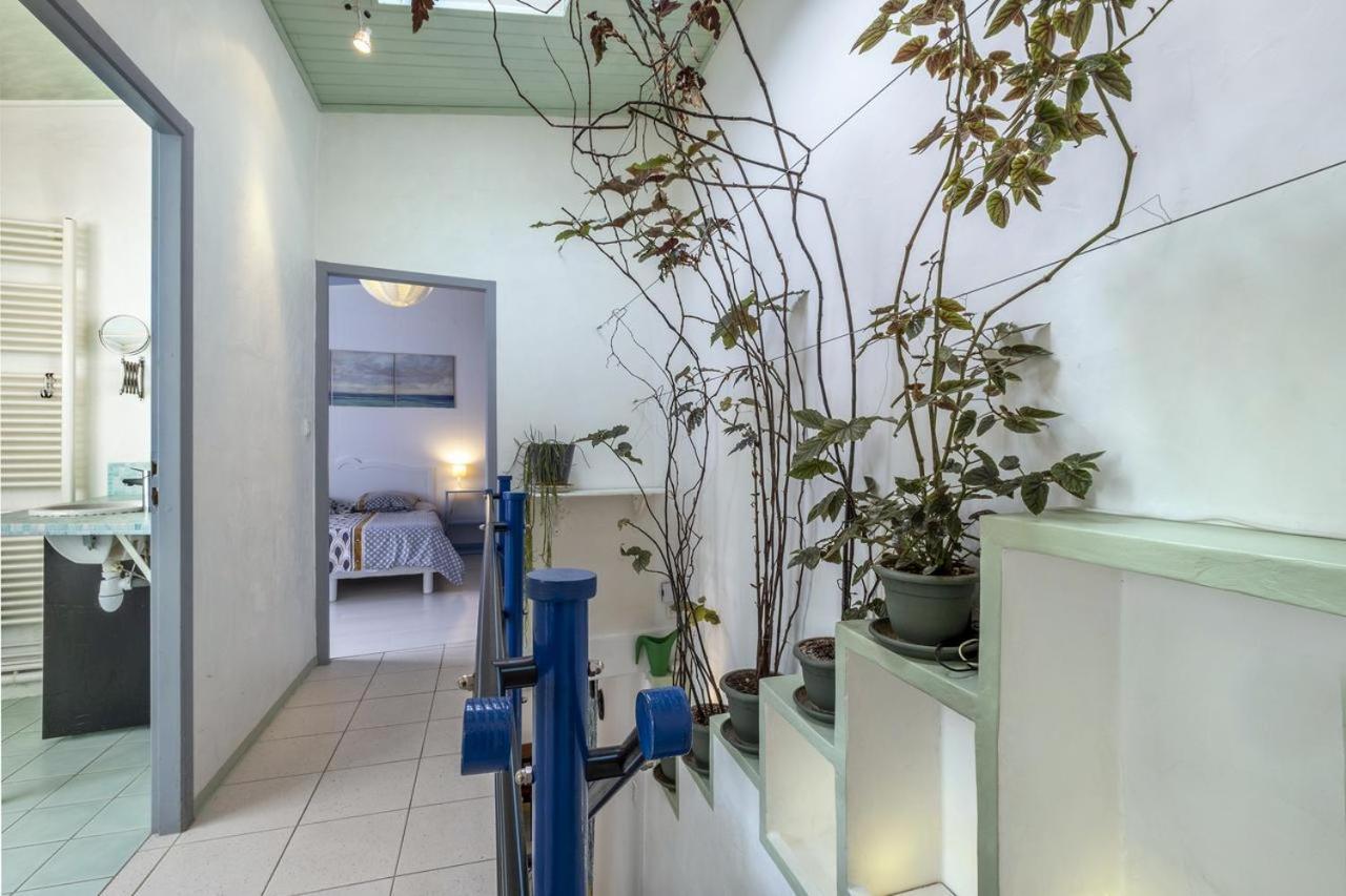 Les Volets Bleus T3 De 80 M2 Patio Privatif Apartman Rochefort  Kültér fotó